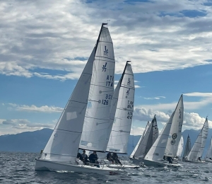 275931784 359743446031903 7041678168286638226 N